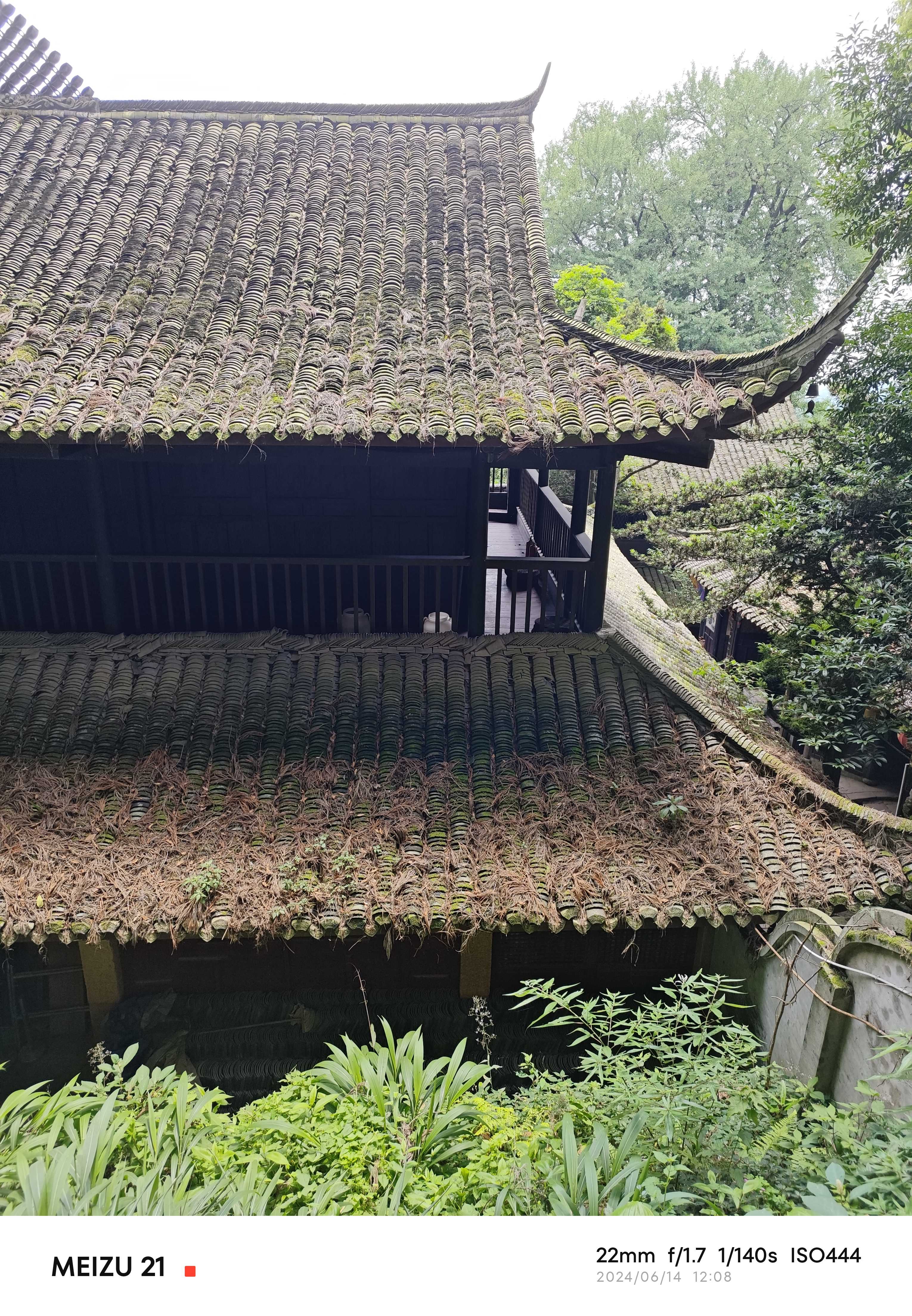 Meizu 21 拍摄样张5