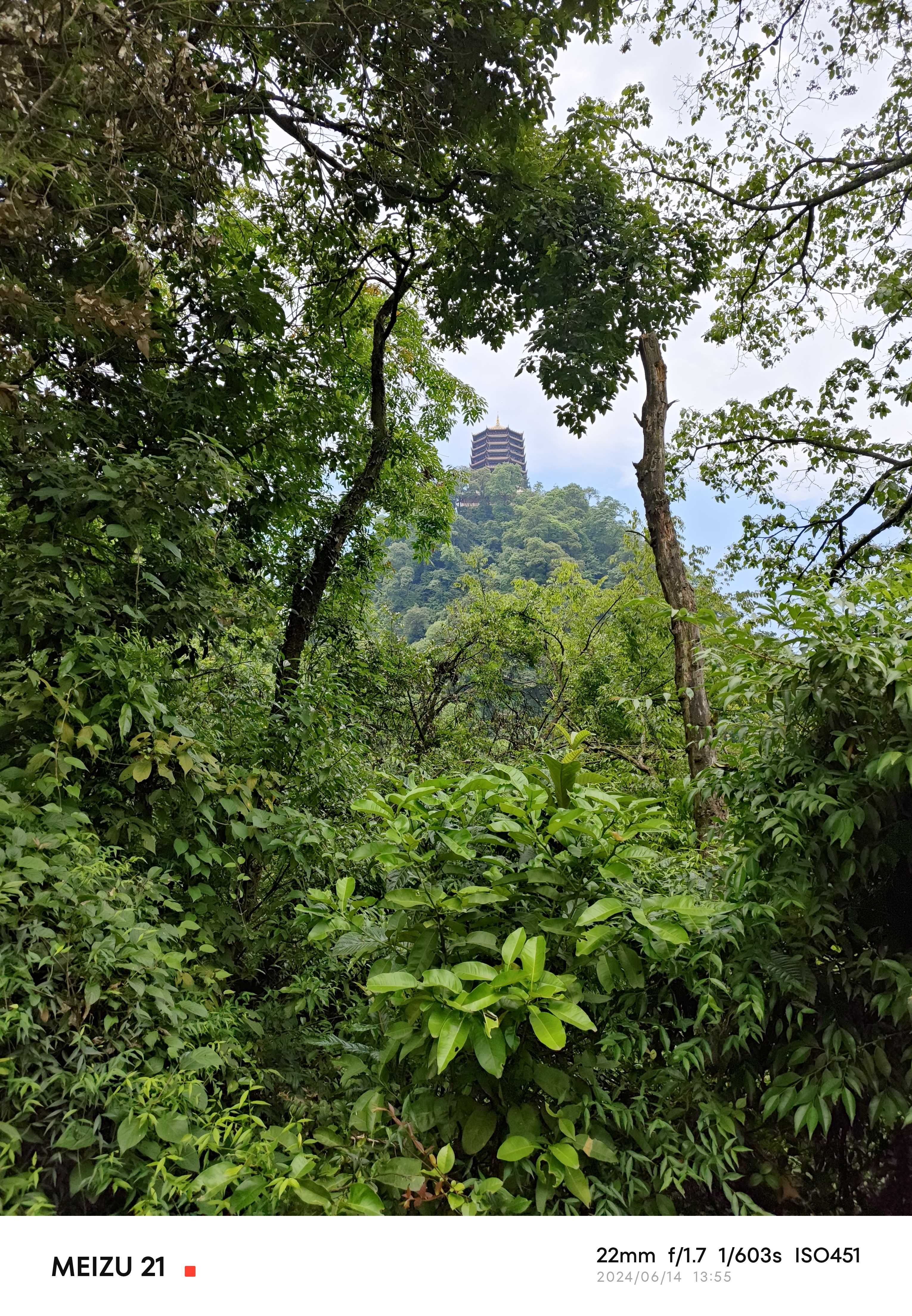 Meizu 21 拍摄样张7